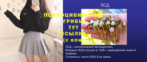тгк Абаза