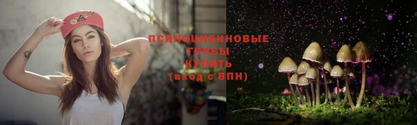 индика Абинск