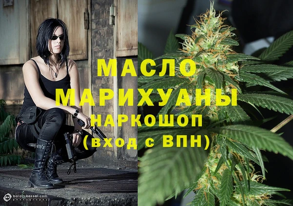 тгк Абаза