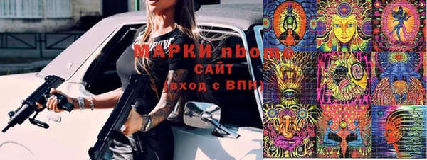 индика Абинск