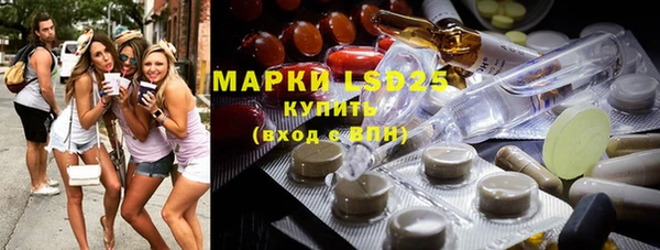 индика Абинск