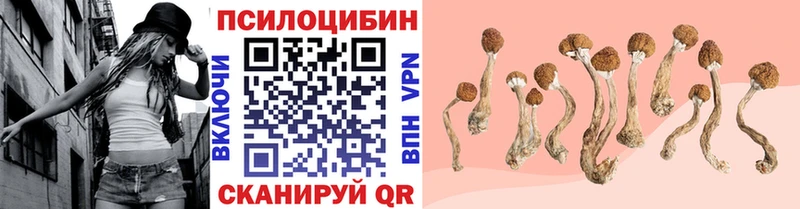 сайты даркнета официальный сайт  Сясьстрой  Галлюциногенные грибы GOLDEN TEACHER 